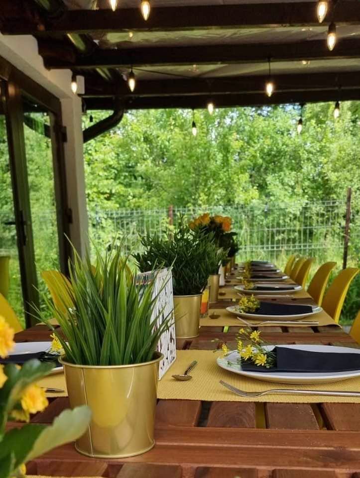 Masă lungă, pregătită sub pergola din grădină